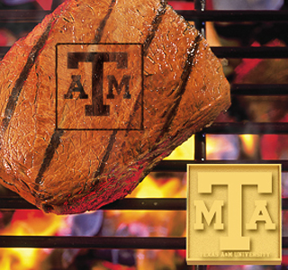 Fan Mats Texas A&M University Fan Brand