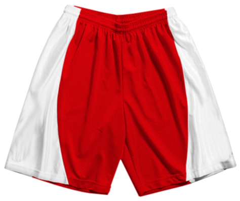 A4 Adult Mesh/Dazzle 9" Inseam Basketball Shorts