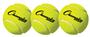 Champion Sports Tennis Balls - Pack of 3