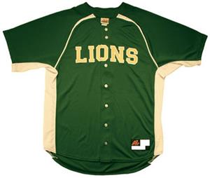 mesh baseball jerseys custom