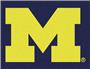 Fan Mats University of Michigan All-Star Mat