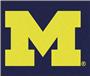 Fan Mats University of Michigan Tailgater Mat