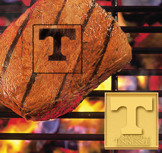 Fan Mats University of Tennessee Fan Brand
