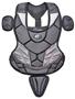 Champion Youth Age 9-12 Baseball Chest Protectors