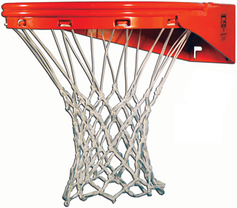 Gared 8550 Endurance Slam Basketball Goals. Free shipping.  Some exclusions apply.