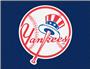 Fan Mats MLB New York Yankees All-Star Mat