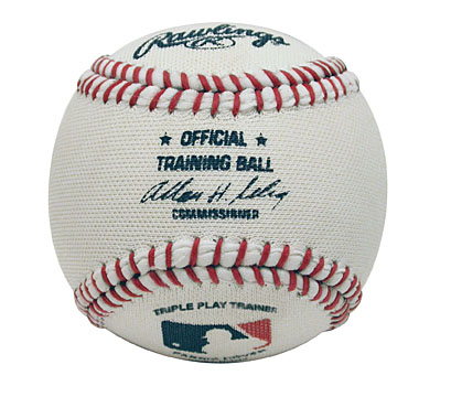 rawlings official training ball