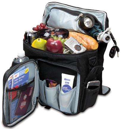 Picnic Time Bowling Green State Turismo Backpack