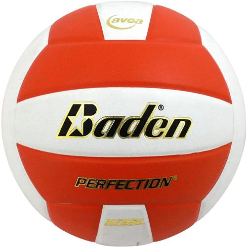 Baden AVCA Perfection Leather Volleyball VX5EC. Free shipping.  Some exclusions apply.