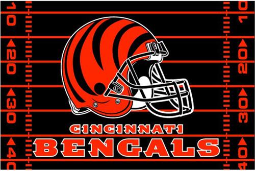 Northwest NFL Cincinnati Bengals 39"x59" Rugs