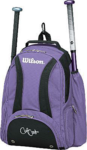 wilson bat bag