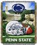Northwest NCAA Penn State HFA Tapestry Throw