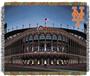 Northwest MLB Citi Field Stadium Tapestry Throw