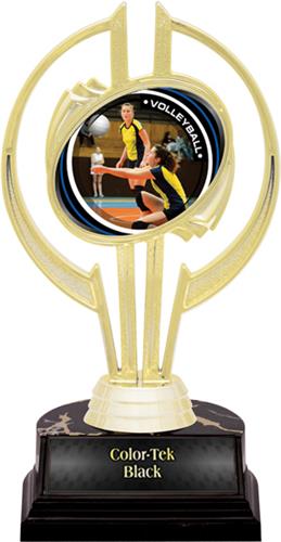 Awards Gold Hurricane 7" P.R.1 Volleyball Trophy. Personalization is available on this item.