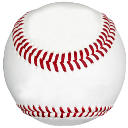 Baden Blank Autograph Softball Dozen, 12