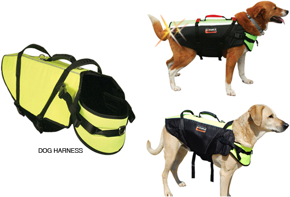 Fusion dog outlet harness