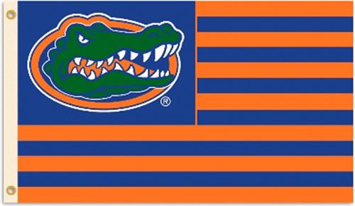 BSI COLLEGIATE Florida Gators 3' x 5' Flag