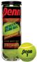 Penn Championship Regular Tennis Balls