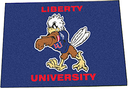 Fan Mats Liberty University Champions Starter Mat