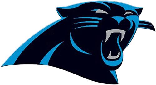 BSI NFL Carolina Panthers 12" Die Cut Car Magnet