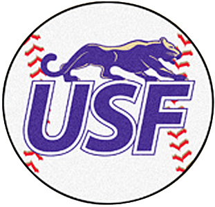 Fan Mats University of Sioux Falls Baseball Mat