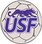 Fan Mats University of Sioux Falls Soccer Ball Mat