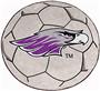 Fan Mats U of Wisconsin-Whitewater Soccer Ball Mat