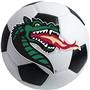 Fan Mats U. of Alabama-Birmingham Soccer Ball Mat