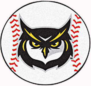 Fan Mats Kennesaw State University Baseball Mat