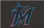 Fan Mats MLB Miami Marlins Starter Mat