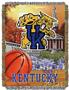 Northwest NCAA Kentucky "HFA" Tapestry Throw