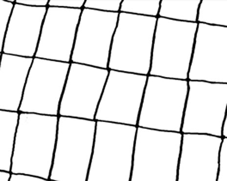 Volleyball Collegiate Nets PVBN-3