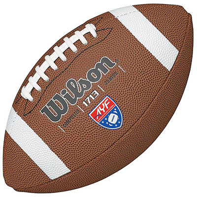 Wilson TDJ Composite Junior Football w/AYF. Free shipping.  Some exclusions apply.
