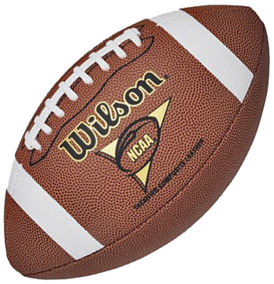 Wilson NCAA Game Ball Replica Official Footballs