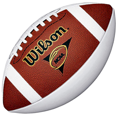 : WILSON NCAA Mini Autograph Football,White