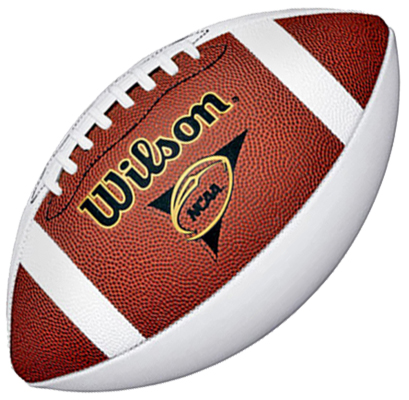 : WILSON NCAA Mini Autograph Football,White