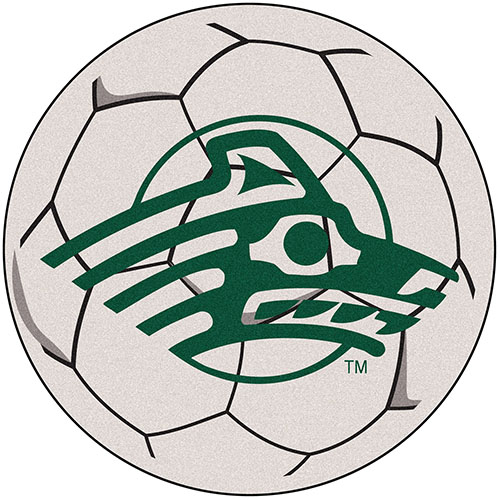 Fan Mats Univ. of Alaska Anchorage Soccer Ball Mat