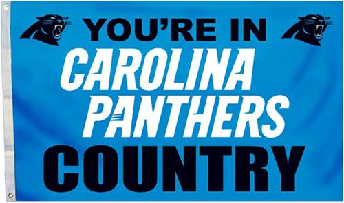 BSI NFL Carolina Panthers Country 3' x 5' Flag
