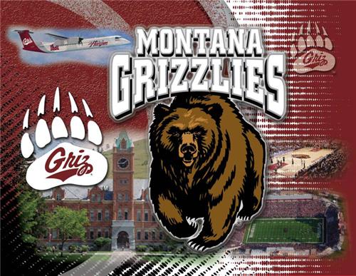 Holland University of Montana Printed Canvas Art. Free shipping.  Some exclusions apply.