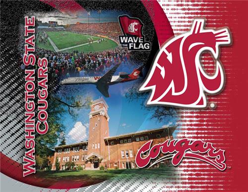 Holland Washington State Univ Printed Canvas Art. Free shipping.  Some exclusions apply.