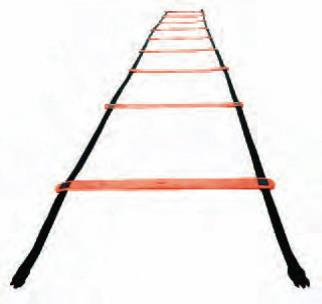 Champion Sports Rubber Agility Ladder