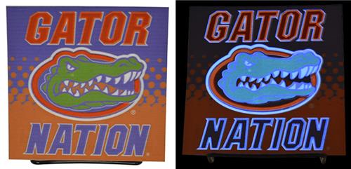 Illumasport Florida Gators Light Up Car Sticker