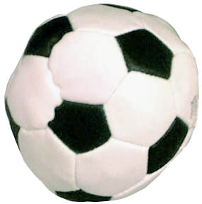 soccer ball sack