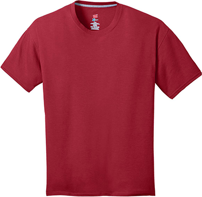 Hanes Men's X-Temp Short Sleeve T-Shirt