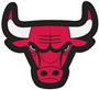 Fan Mats NBA Chicago Bulls Mascot Mat