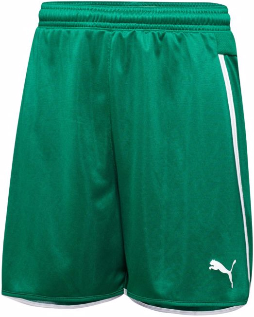 E121719 Puma Mens Speed Soccer Shorts