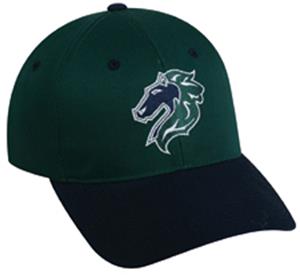 charlotte knights baseball hat