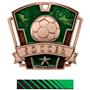 BRONZE MEDAL/PHOENIX GREEN NECK RIBBON