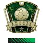 GOLD MEDAL/PHOENIX GREEN NECK RIBBON