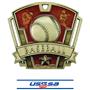 GOLD MEDAL/DELUXE USSSA NECK RIBBON